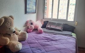 Una Habitacion Individual En Casa Familiar Dentro De Ciudad Patrimonio De La Humanidad